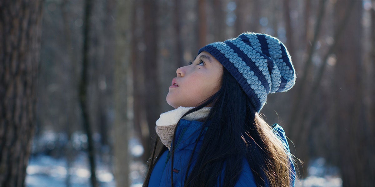 Evil Does Not Exist (Aku wa sonzai shinai)